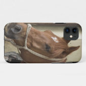 Coques Case-Mate iPhone Chevaux arabes (Dos (Horizontal))