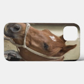 Coques Case-Mate iPhone Chevaux arabes (Verso (horizontal))