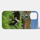 Coques Case-Mate iPhone Chevaux dans un champ dans la Palouse 2 (Verso (horizontal))