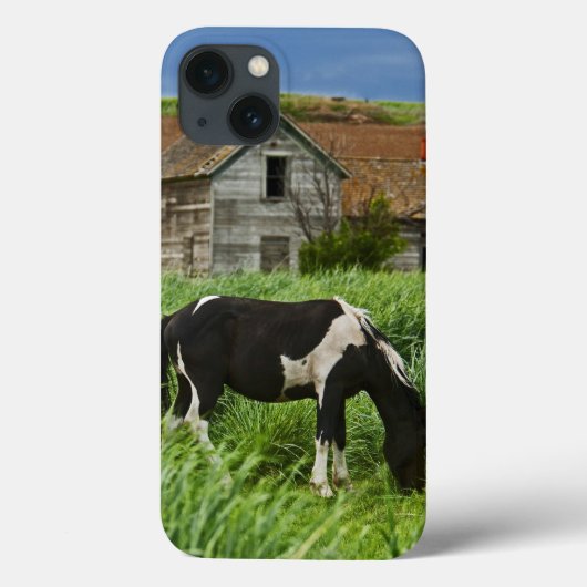 Coques Case-Mate iPhone Chevaux dans un champ dans la Palouse 2 (Verso)