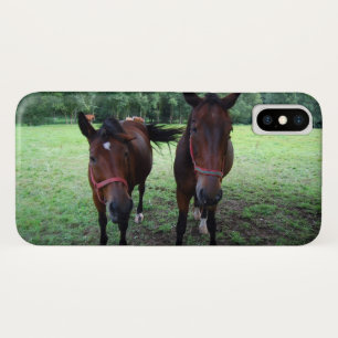 Coque iPhone X Chevaux en pâture