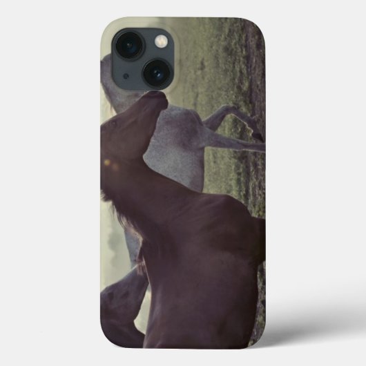 Coques Case-Mate iPhone Chevaux sauvages (Verso)