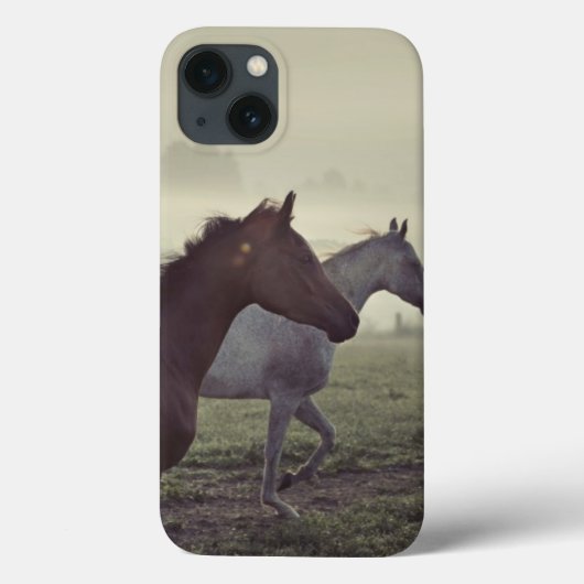 Coques Case-Mate iPhone Chevaux sauvages (Verso)