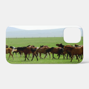 Coques Pour iPhone Chevaux sur le pâturage - Photographie du paysage