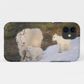 Coques Case-Mate iPhone chèvre de montagne (Dos (Horizontal))