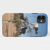 Coques Case-Mate iPhone Chèvres amusantes dans un arbre (Dos (Horizontal))