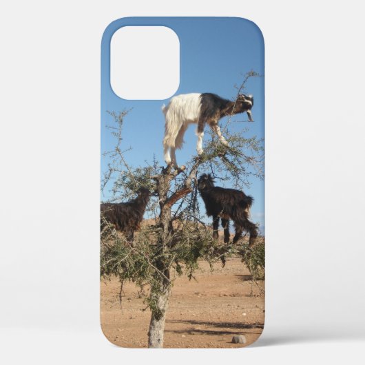 Coques Case-Mate iPhone Chèvres amusantes dans un arbre Coque-coque iphone (Verso)