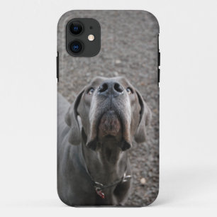 Etui iPhone Case-Mate Chien à l'oreille