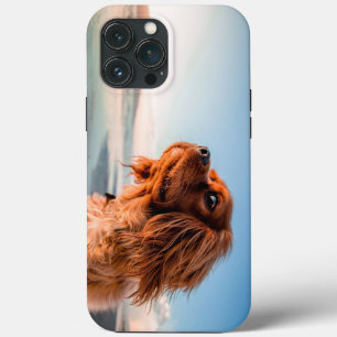Case-Mate iPhone Case Chien adorable qui fixe avec un fond de ciel bleu