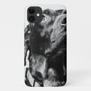 Case-Mate iPhone Case chien bw royal