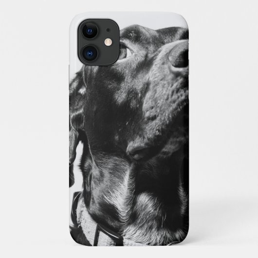 Coques Case-Mate iPhone chien bw royal (Dos)