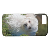 Coques Case-Mate iPhone Chien chiot maltais blanc mou (Dos (Horizontal))