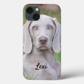 Coques Case-Mate iPhone Chien coquelicot Weimaraner personnalisé (Verso)
