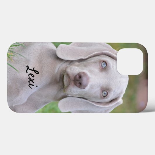 Coques Case-Mate iPhone Chien coquelicot Weimaraner personnalisé (Verso (horizontal))