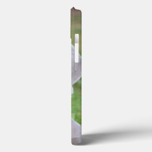 Coques Case-Mate iPhone Chien coquelicot Weimaraner personnalisé (Verso / Gauche)