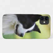 Coques Case-Mate iPhone Chien de berger border collie noir et blanc (Dos (Horizontal))