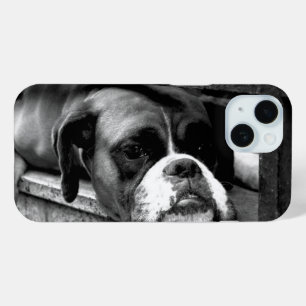 Coque Pour iPhone 15 Chien de boîte sur l'iphcna de fenêtre
