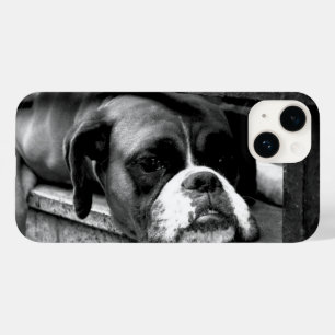 Coque Pour iPhone 14 Chien de boîte sur Windows iphcnm