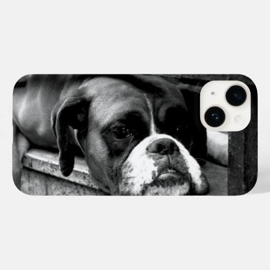 Coques Case-Mate iPhone Chien de boîte sur Windows iphcnm (Verso (horizontal))