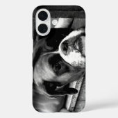 Coques Case-Mate iPhone Chien de boîte sur Windows iphcnm (Verso)