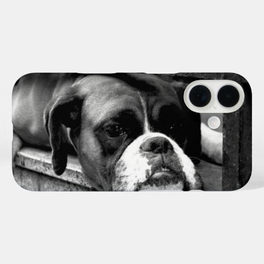 Coques Case-Mate iPhone Chien de boîte sur Windows iphcnm (Verso (horizontal))