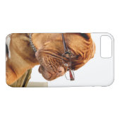 Coques Case-Mate iPhone Chien de Bordeaux en verres (Dos (Horizontal))
