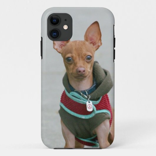 Coques Case-Mate iPhone Chien de chiwawa (Dos)