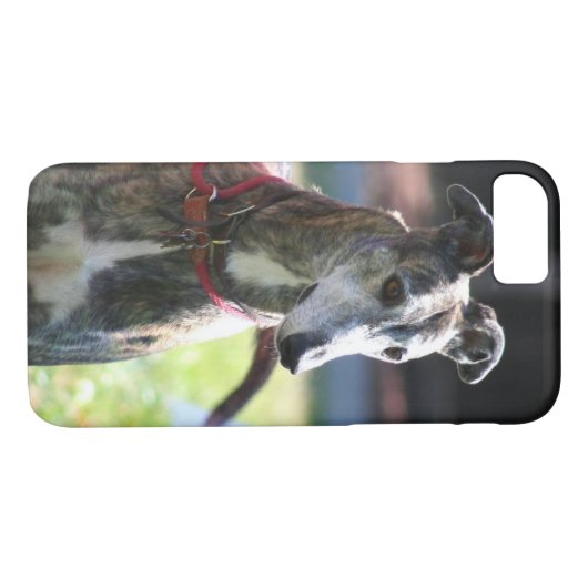 Coques Case-Mate iPhone Chien de lévrier (Dos (Horizontal))