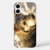 Coques Case-Mate iPhone Chien de plage thaïlandais (Verso)