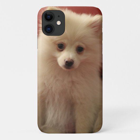Coques Case-Mate iPhone Chien de Poméranie mignon (Dos)