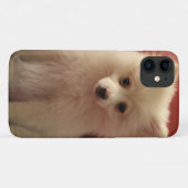 Coques Case-Mate iPhone Chien de Poméranie mignon (Dos (Horizontal))