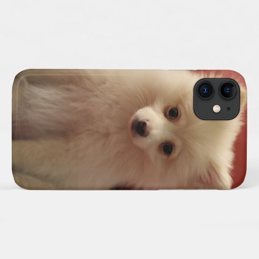 Coques Case-Mate iPhone Chien de Poméranie mignon (Dos (Horizontal))