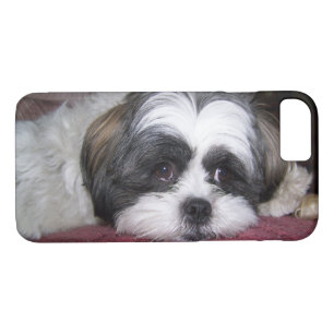Etui iPhone Case-Mate Chien de Shih Tzu
