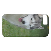 Coques Case-Mate iPhone Chien de traîneau sibérien mignon (Dos (Horizontal))
