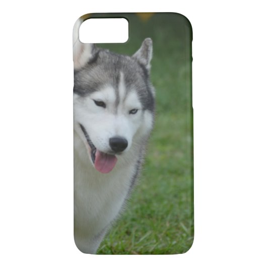 Coques Case-Mate iPhone Chien de traîneau sibérien mignon (Dos)
