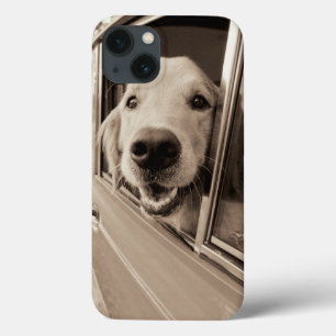 iPhone 13 Case Chien jetant un coup d'oeil une fenêtre de voiture
