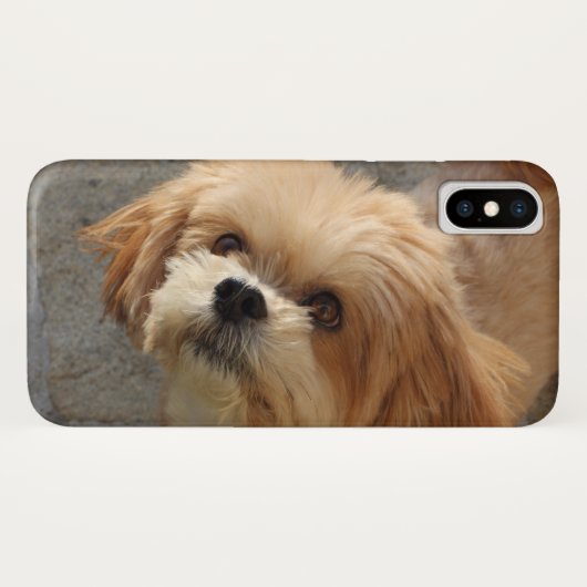 Coques Case-Mate iPhone Chien Lhasa Apso dans un jardin (Dos (Horizontal))