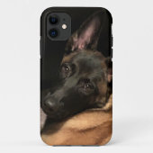 Coques Case-Mate iPhone Chien malinois (Dos)