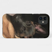 Coques Case-Mate iPhone Chien malinois (Dos (Horizontal))