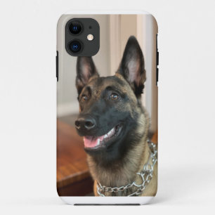 Case-Mate iPhone Case Chien malinois
