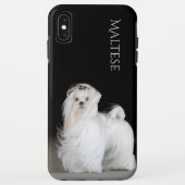 Coques Case-Mate iPhone Chien maltais (Dos)