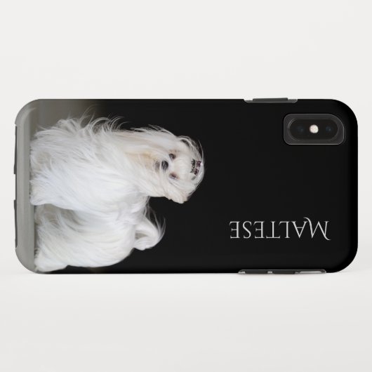Coques Case-Mate iPhone Chien maltais (Dos (Horizontal))