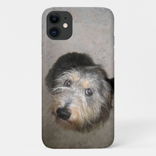 Coques Case-Mate iPhone Chien mignon (Dos)
