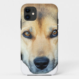 Coque iPhone 11 Chien mignon sur n'importe quel arrière - plan cou