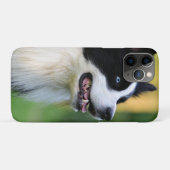 Coques Case-Mate iPhone Chien noir et blanc à la frontière (Dos (Horizontal))