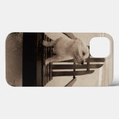 Coques Case-Mate iPhone Chien Profitant de la plage (Verso (horizontal))