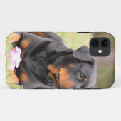 Coques Case-Mate iPhone Chien Rottweiler (Dos (Horizontal))