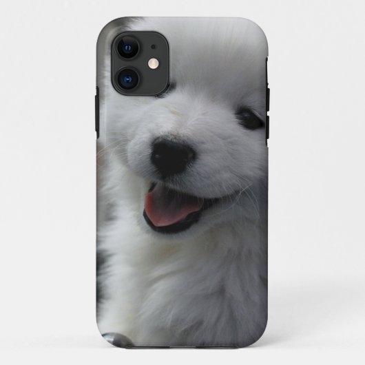 Coques Case-Mate iPhone Chien Samoyé (Dos)