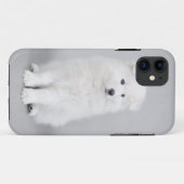 Coques Case-Mate iPhone Chien Samoyé (Dos (Horizontal))