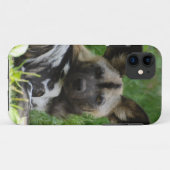 Coques Case-Mate iPhone Chiens sauvages africains (Dos (Horizontal))